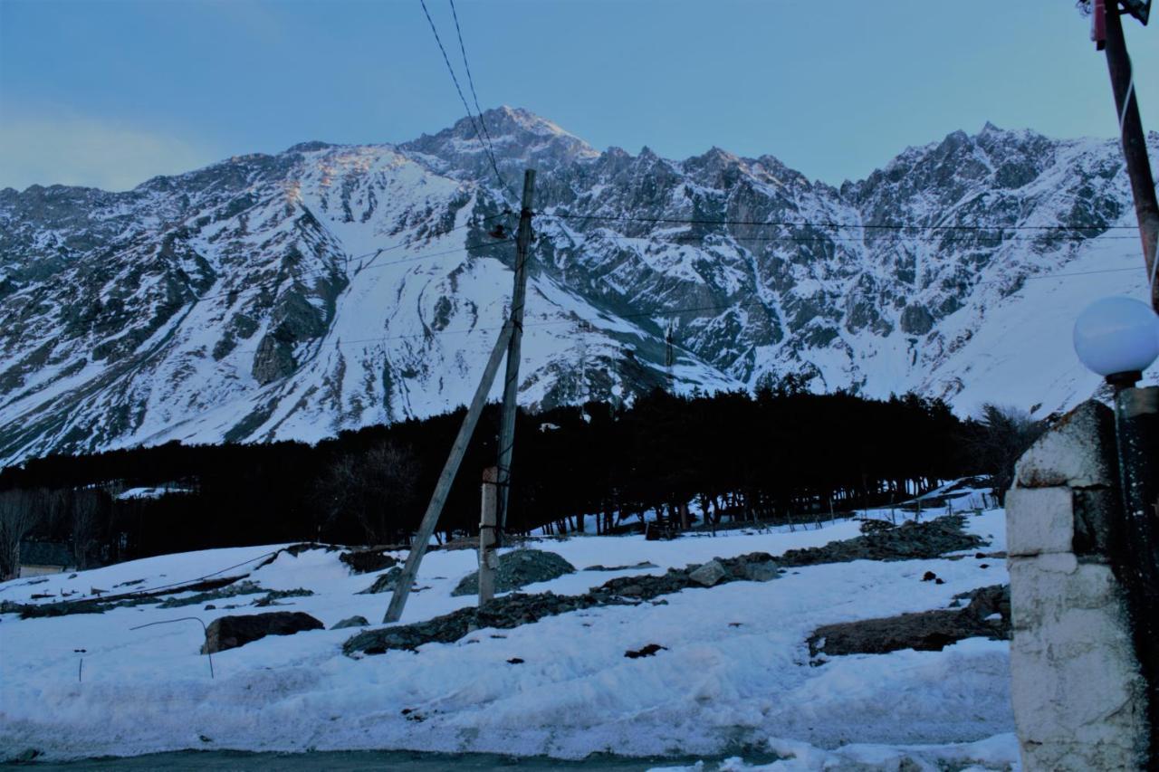 Hotel Noa Kazbegi מראה חיצוני תמונה