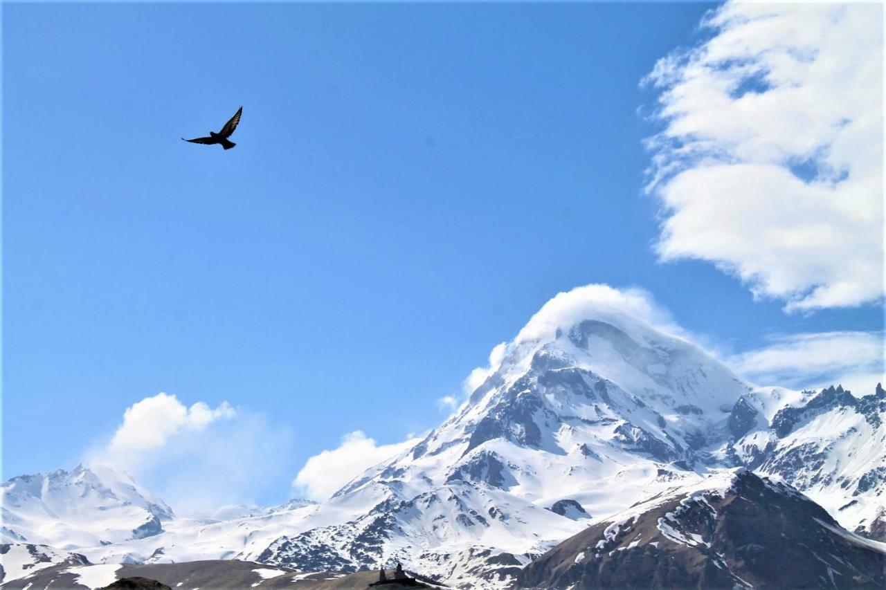 Hotel Noa Kazbegi מראה חיצוני תמונה